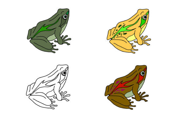 FROG Collection Image: Graphics for Coloring Pages Amp